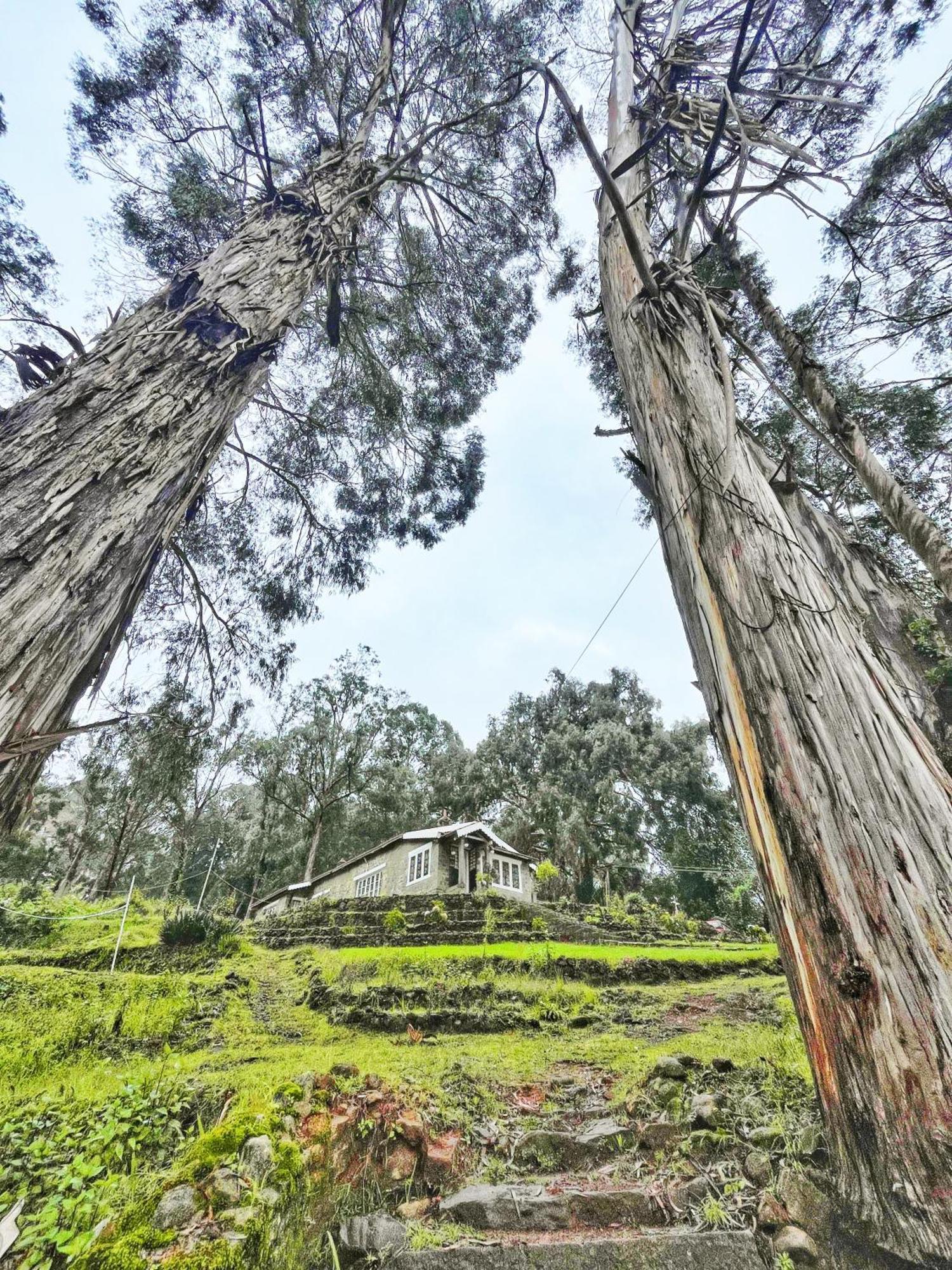 Springdale Villa Kodaikanal Exterior photo